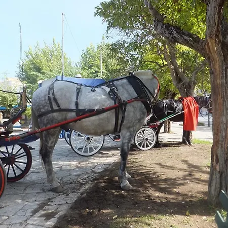 Paradise House Willa